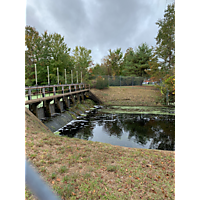 King tide Chesapeake image